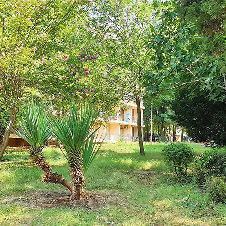 оазис парк 酒店